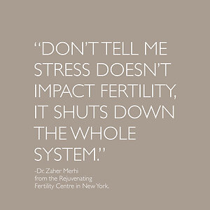 Fertility Mind-Body Coaching. Stress shuts down the system